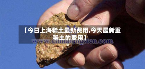 【今日上海稀土最新费用,今天最新重稀土的费用】