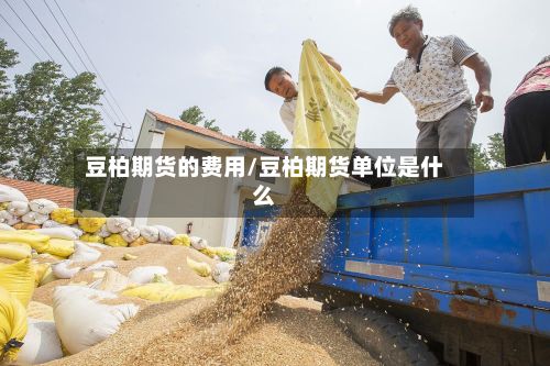豆柏期货的费用/豆柏期货单位是什么
