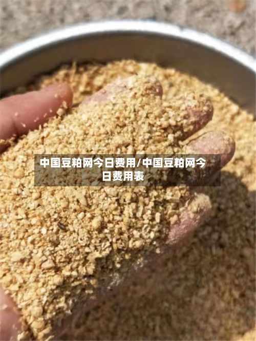 中国豆粕网今日费用/中国豆粕网今日费用表