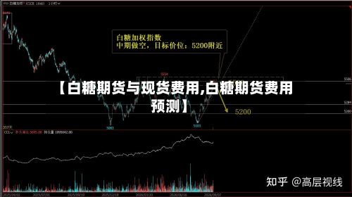 【白糖期货与现货费用,白糖期货费用预测】-第1张图片