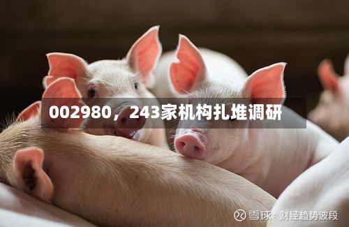 002980，243家机构扎堆调研-第3张图片