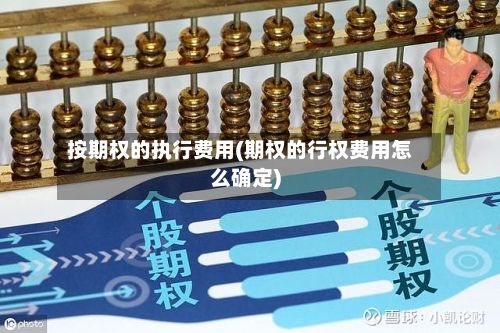 按期权的执行费用(期权的行权费用怎么确定)