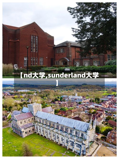 【nd大学,sunderland大学】
