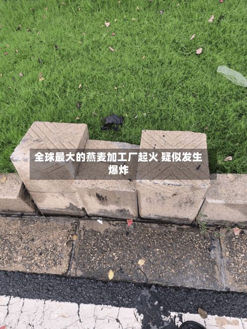 全球最大的燕麦加工厂起火 疑似发生爆炸-第1张图片