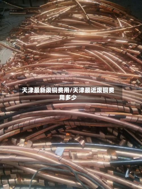 天津最新废铜费用/天津最近废铜费用多少