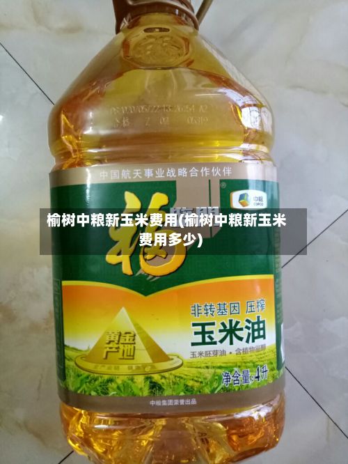 榆树中粮新玉米费用(榆树中粮新玉米费用多少)