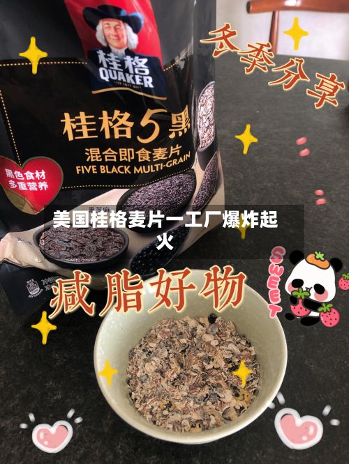 美国桂格麦片一工厂爆炸起火