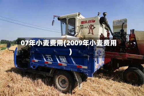 07年小麦费用(2009年小麦费用)-第2张图片