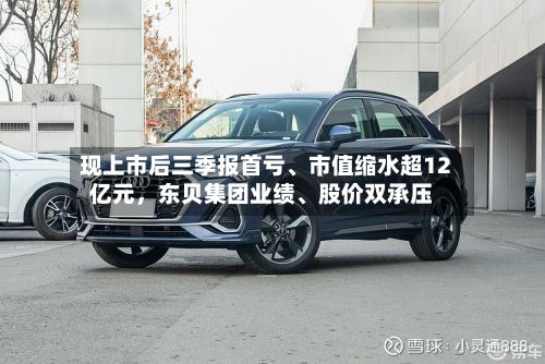 现上市后三季报首亏	、市值缩水超12亿元	，东贝集团业绩、股价双承压-第3张图片