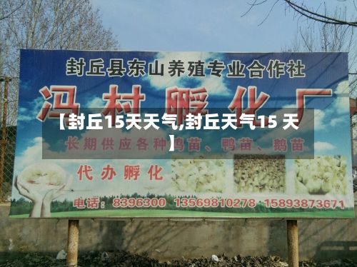 【封丘15天天气,封丘天气15 天】-第2张图片