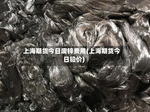 上海期货今日废锌费用(上海期货今日铅价)-第3张图片