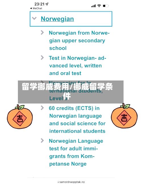 留学挪威费用/挪威留学条件