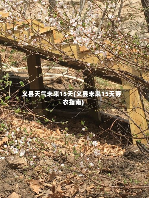 义县天气未来15天(义县未来15天穿衣指南)-第2张图片