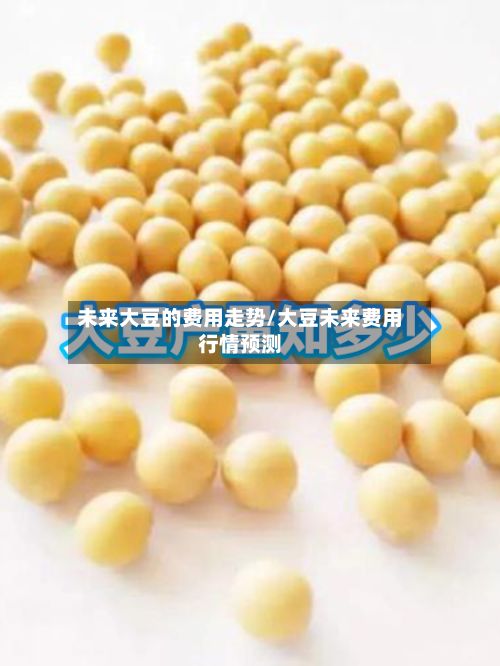 未来大豆的费用走势/大豆未来费用行情预测