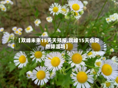 【双峰未来15天天预报,双峰15天会突然降温吗】
