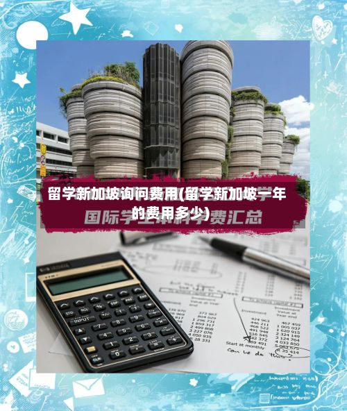 留学新加坡询问费用(留学新加坡一年的费用多少)-第2张图片