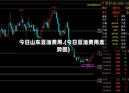 今日山东豆油费用.(今日豆油费用走势图)-第3张图片