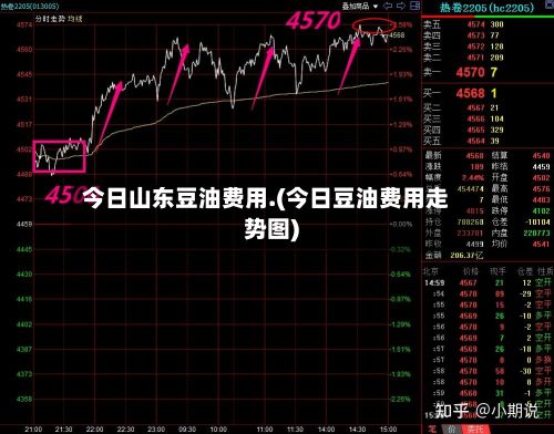 今日山东豆油费用.(今日豆油费用走势图)-第2张图片