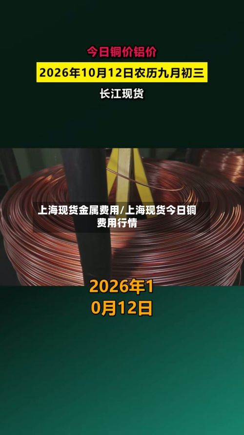 上海现货金属费用/上海现货今日铜费用行情-第3张图片