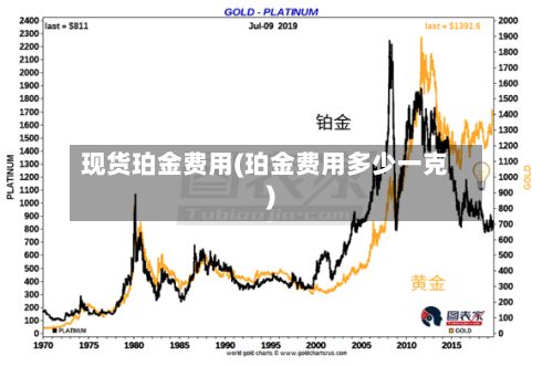 现货珀金费用(珀金费用多少一克)-第2张图片