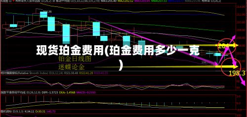 现货珀金费用(珀金费用多少一克)-第3张图片