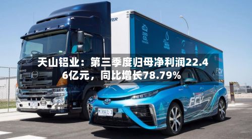 天山铝业：第三季度归母净利润22.46亿元，同比增长78.79%-第3张图片
