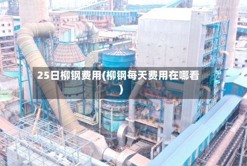 25日柳钢费用(柳钢每天费用在哪看)-第3张图片