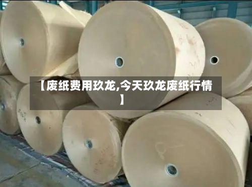 【废纸费用玖龙,今天玖龙废纸行情】-第2张图片