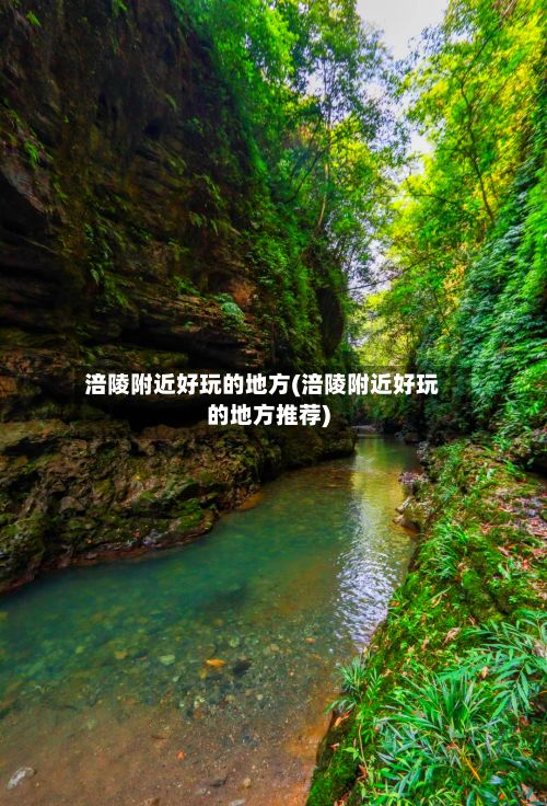 涪陵附近好玩的地方(涪陵附近好玩的地方推荐)
