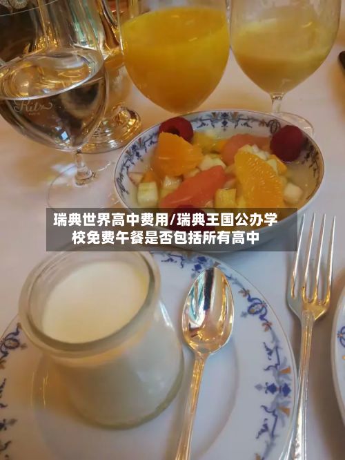 瑞典世界高中费用/瑞典王国公办学校免费午餐是否包括所有高中-第2张图片