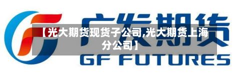 【光大期货现货子公司,光大期货上海分公司】-第3张图片