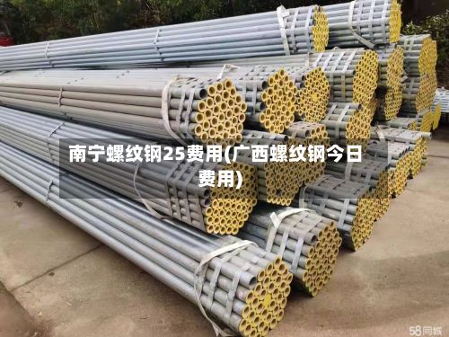 南宁螺纹钢25费用(广西螺纹钢今日费用)