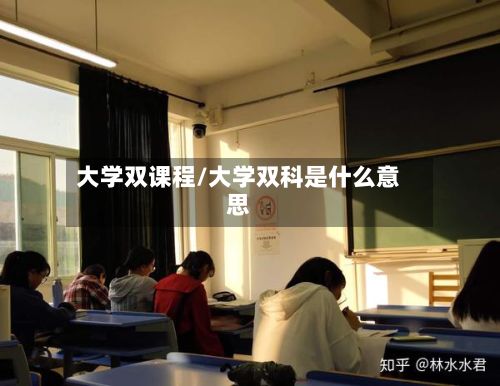 大学双课程/大学双科是什么意思