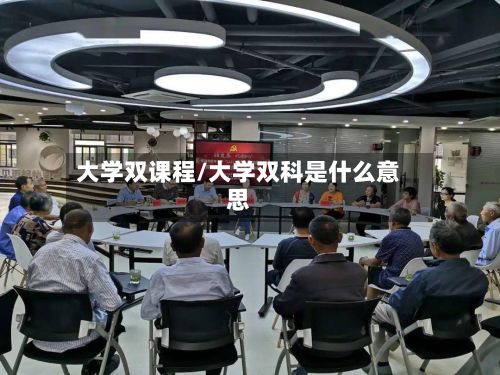 大学双课程/大学双科是什么意思-第2张图片