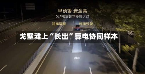 戈壁滩上“长出	”算电协同样本-第3张图片