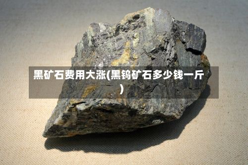 黑矿石费用大涨(黑钨矿石多少钱一斤)-第2张图片