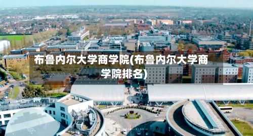 布鲁内尔大学商学院(布鲁内尔大学商学院排名)-第3张图片