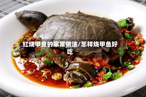 红烧甲鱼的家常做法/怎样烧甲鱼好吃