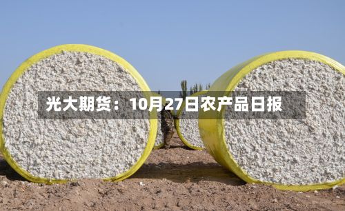 光大期货:10月27日农产品日报-第3张图片