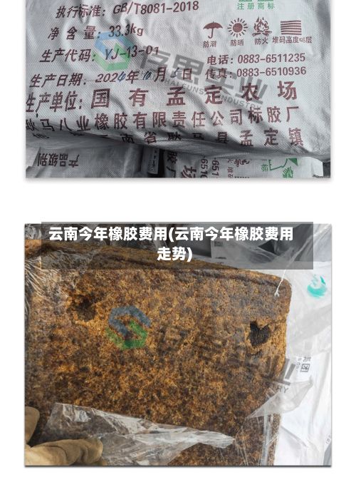 云南今年橡胶费用(云南今年橡胶费用走势)