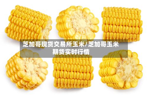 芝加哥现货交易所玉米/芝加哥玉米期货实时行情-第3张图片