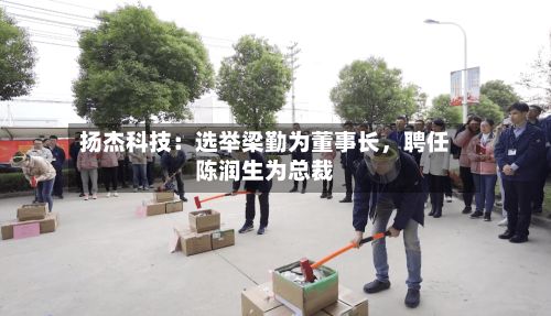 扬杰科技：选举梁勤为董事长，聘任陈润生为总裁-第3张图片