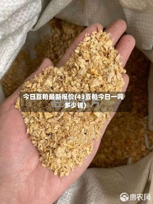 今日豆粕最新报价(43豆粕今日一吨多少钱)-第2张图片