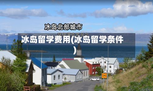 冰岛留学费用(冰岛留学条件)-第2张图片