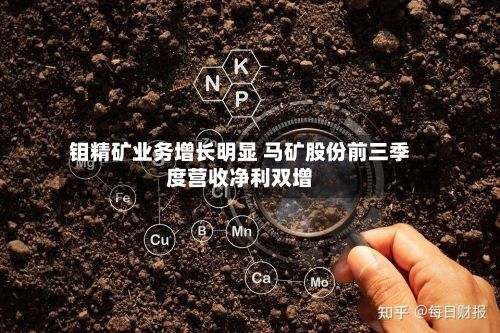 钼精矿业务增长明显 马矿股份前三季度营收净利双增-第1张图片