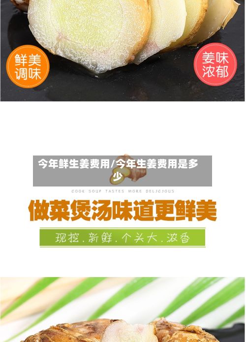 今年鲜生姜费用/今年生姜费用是多少-第2张图片