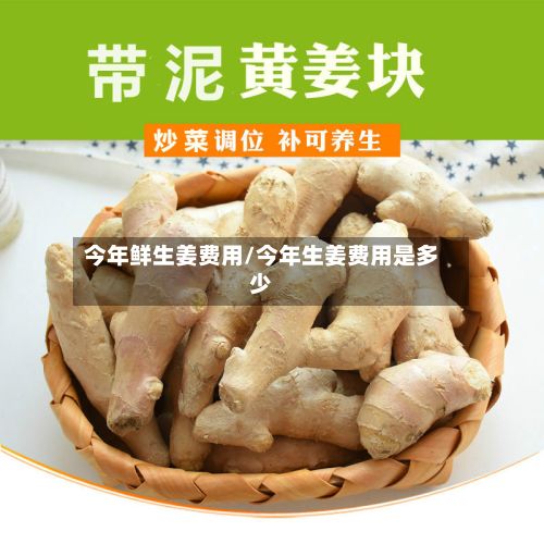 今年鲜生姜费用/今年生姜费用是多少