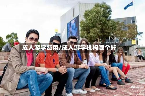 成人游学费用/成人游学机构哪个好