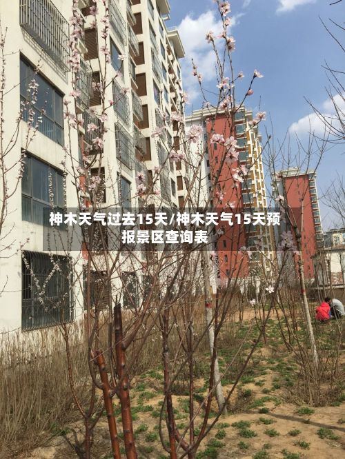 神木天气过去15天/神木天气15天预报景区查询表
