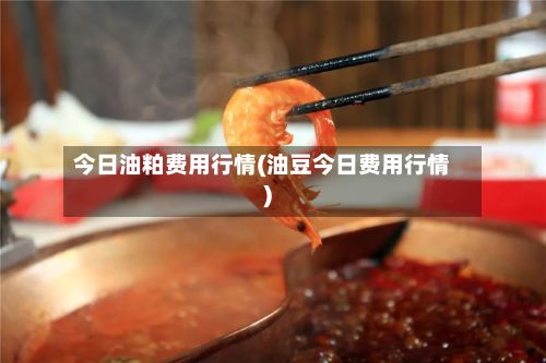 今日油粕费用行情(油豆今日费用行情)